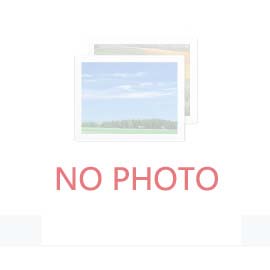 Ͷ;l